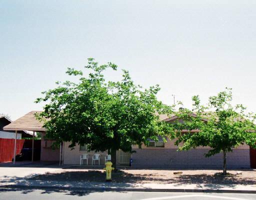 263 N Guthrie St., Mesa, AZ 85203