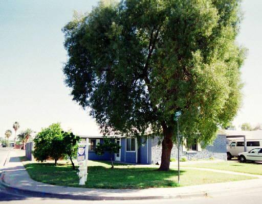 451 S Daley Ave., Mesa, AZ 85204