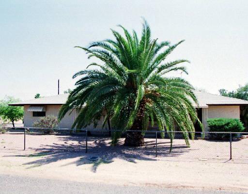 119 S Emerald Dr., Apache Junction, AZ 85220