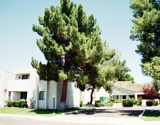 1920 W Lindner Ave. #231, Mesa, AZ 85202