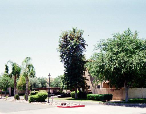 653 W Guadalupe Rd. #1021, Mesa, AZ 85210