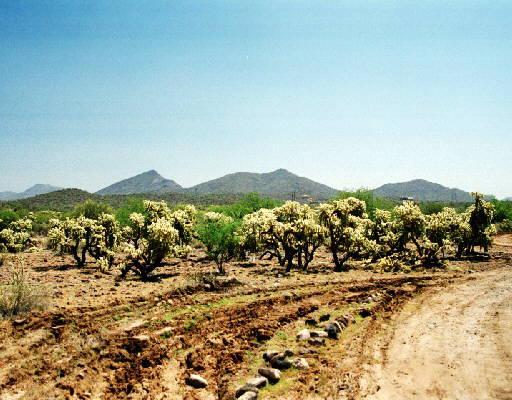 N 3rd Ave., Phoenix, AZ 85027