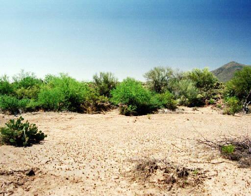 46641 N 13th Ave., Phoenix, AZ 85087