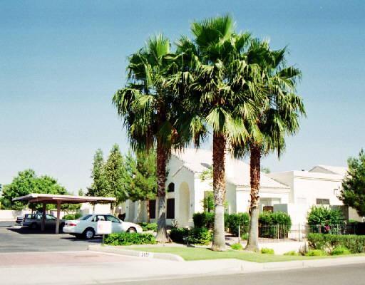 2100 W Lemon Tree Pl. #42, Chandler, AZ 85224