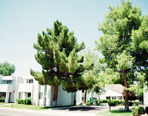 1920 W Lindner Ave. #175, Mesa, AZ 85202