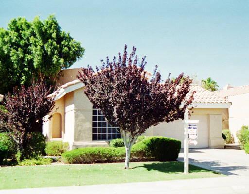 3230 E Briarwood Ter., Phoenix, AZ 85048