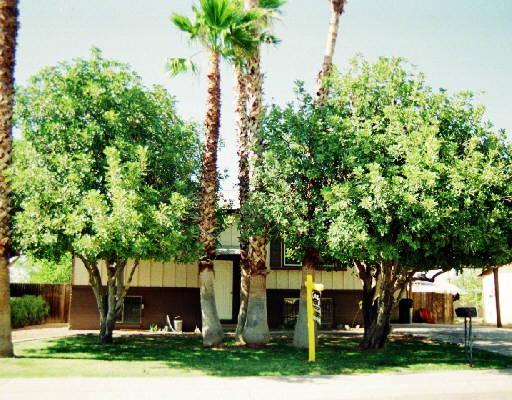 4530 E Burgess Ln., Phoenix, AZ 85040