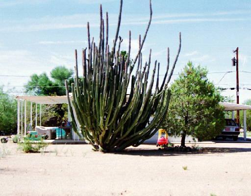 11245 E Jupiter Dr., Apache Junction, AZ 85120