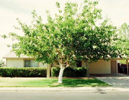 2157 E Inverness Ave., Mesa, AZ 85204