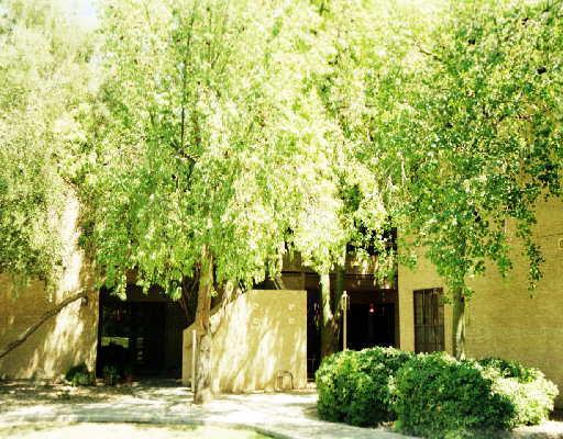 5998 N 78th St. #204, Scottsdale, AZ 85250