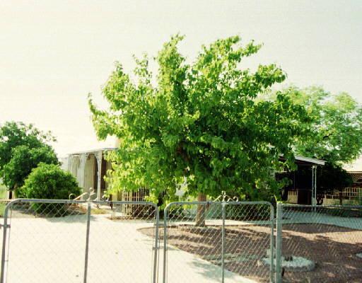 1439 S 76th Pl., Mesa, AZ 85208