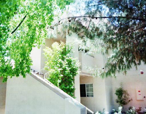10101 N Arabian Ter. #2050, Scottsdale, AZ 85258