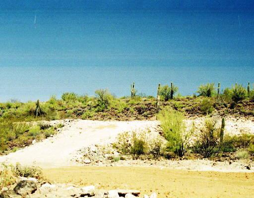 43002 N 20th St., Phoenix, AZ 85087