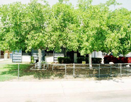 5508 W Granada Rd., Phoenix, AZ 85035