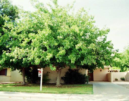 2510 E Riviera Dr., Tempe, AZ 85282