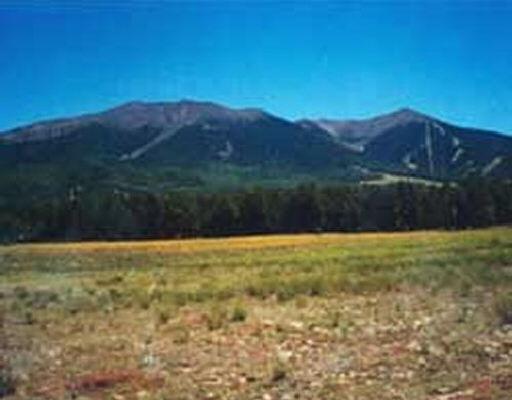N Hart Prairie Fsr 151 Rd. #3H, Flagstaff, AZ 85001