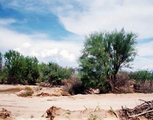 28825 N 160th St., Scottsdale, AZ 85262