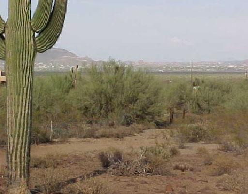 33000 N 10th St. #03, Phoenix, AZ 85085