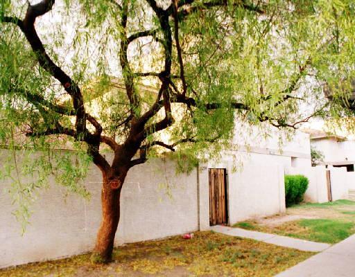6912 W Villa Rd. #1233, Glendale, AZ 85301