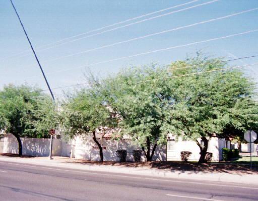 948 S Alma School Rd. #115, Mesa, AZ 85210