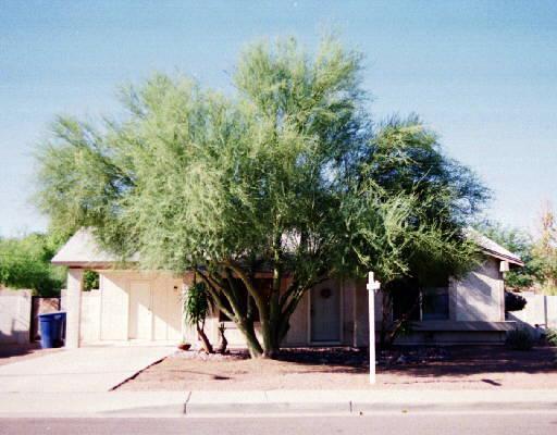 535 W Ranch Rd., Chandler, AZ 85225