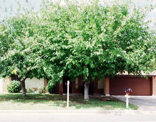 632 S 72nd St., Mesa, AZ 85208