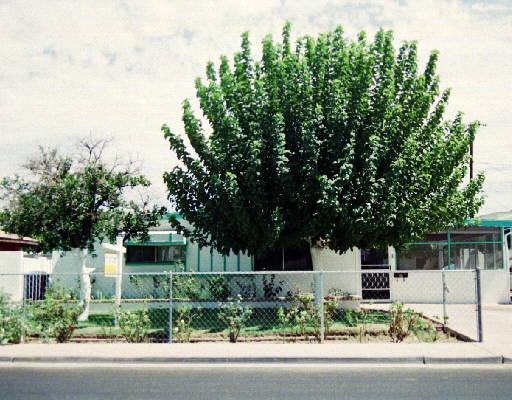 657 S Elm St., Mesa, AZ 85202