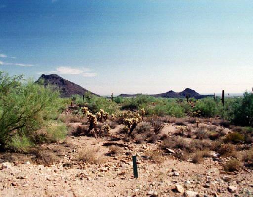 13345 E Summit Dr., Scottsdale, AZ 85259