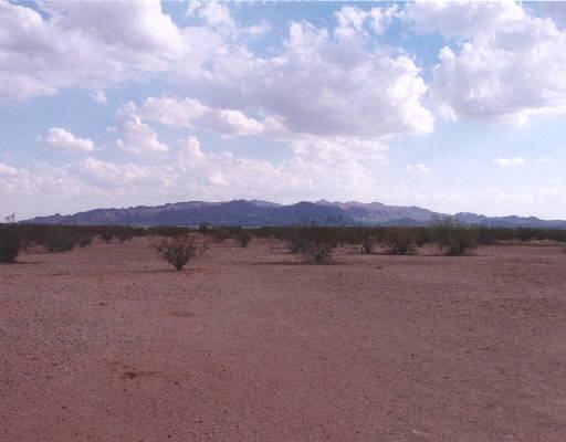 2345 E Sahuaro Dr., Phoenix, AZ 85028