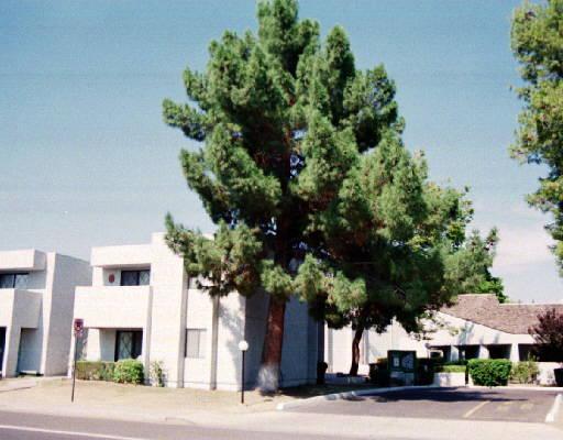 1920 W Lindner Ave. #206, Mesa, AZ 85202