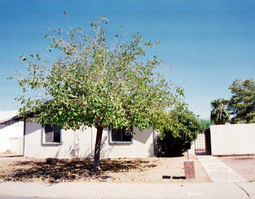 5215 S 46th Pl., Phoenix, AZ 85040