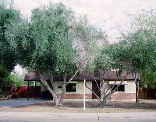 846 E Marilyn Ave., Mesa, AZ 85204