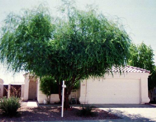 1459 E Cindy St., Chandler, AZ 85225