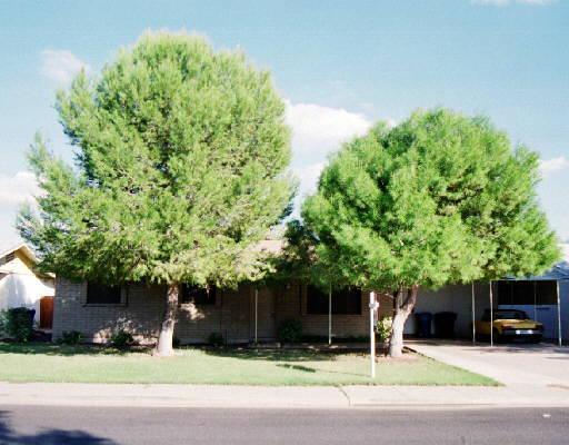 1419 W 2nd St., Mesa, AZ 85201