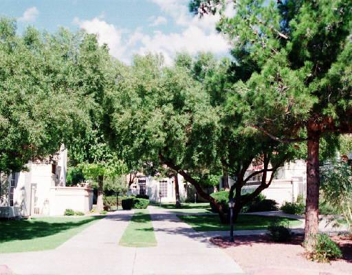 1717 E Union Hills Dr. #1073, Phoenix, AZ 85024