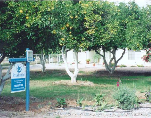 18012 S Villa Park St., Gilbert, AZ 85236