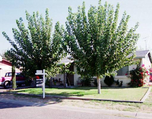 653 N 97th St., Mesa, AZ 85207