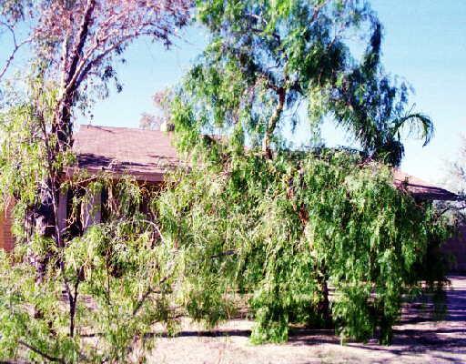 28236 N 68th St., Cave Creek, AZ 85331