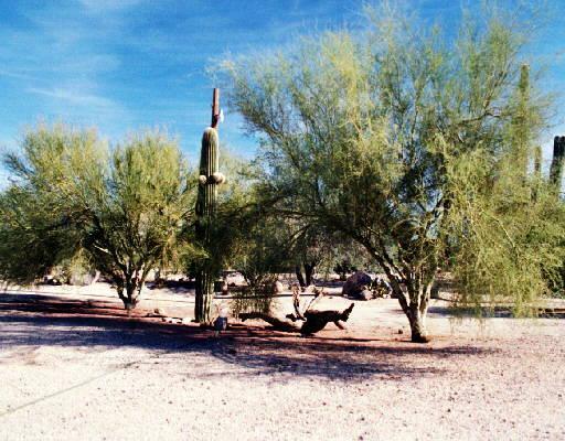 29039 N 59th St., Cave Creek, AZ 85331