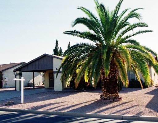 917 S 80th St., Mesa, AZ 85208