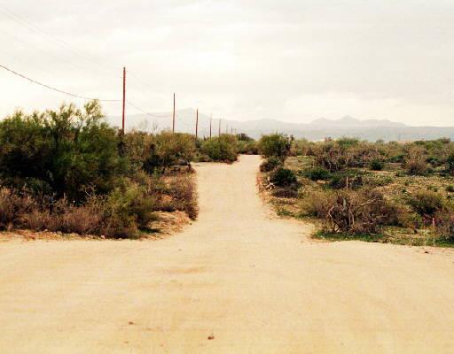 31906 N 142nd St. #HORSES, Scottsdale, AZ 85262