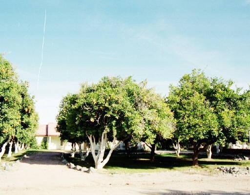 18036 E Villa Park St., Gilbert, AZ 85236