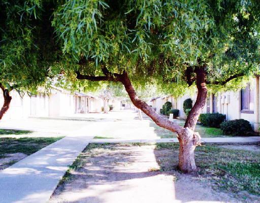 3645 N 71st Ave. #48, Phoenix, AZ 85033