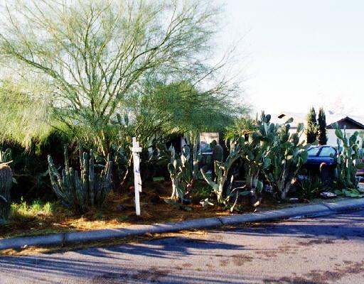 3007 W Palo Verde Dr., Phoenix, AZ 85017