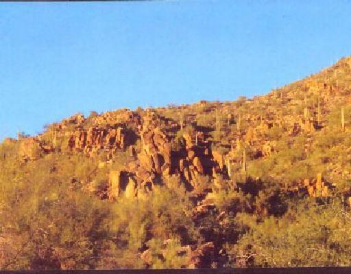 13141 N 137th St. #1, Scottsdale, AZ 85259