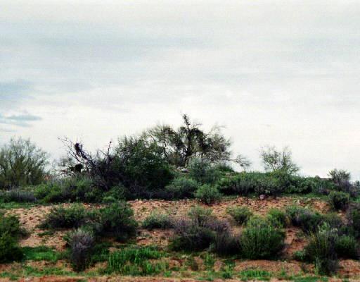 27121 N 152nd St., Scottsdale, AZ 85262