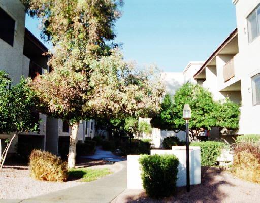 3031 N Civic Center Pl. #313, Scottsdale, AZ 85251