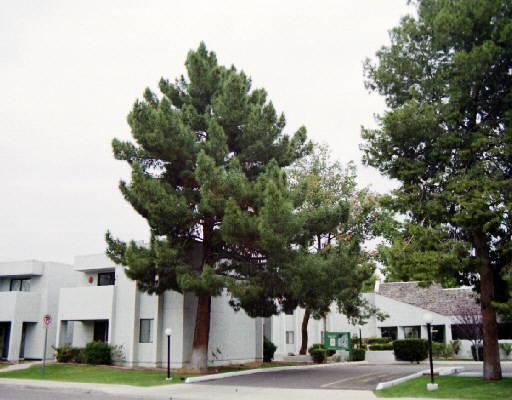 1920 W Lindner Ave. #212, Mesa, AZ 85202