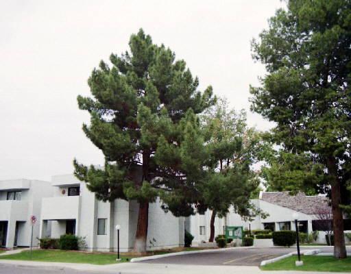 1920 W Lindner Ave. #164, Mesa, AZ 85202