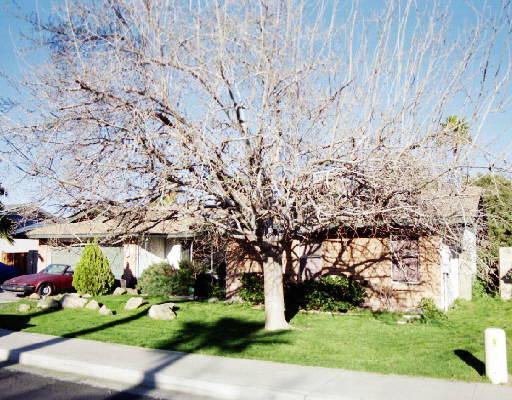 1429 N Allen St., Mesa, AZ 85203